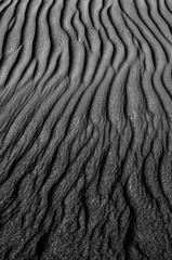 sand rippled, black and white