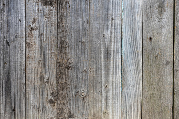 Texture of old vintage dry gray wood