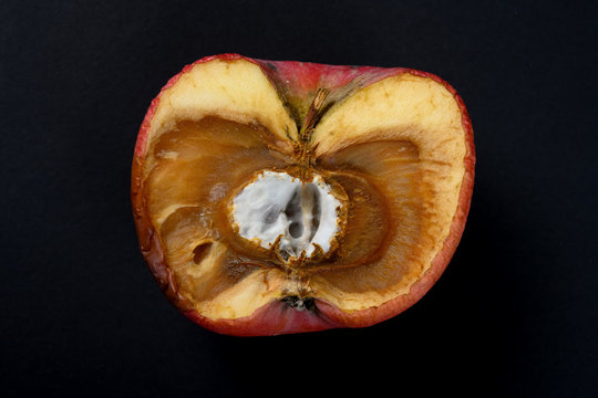 Badly Shrinked Apple With Moldy Core On Black Background