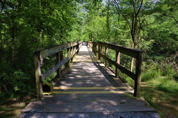 Obraz premium Nature Trail in Ringgold, Georgia