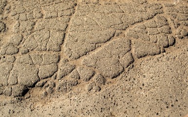 The texture of cracked asphalt.