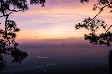 Fototapeta na wymiar Morning views on the hilltop with pine trees and orange skies