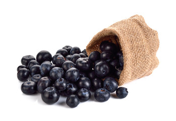Fresh Blueberries on white background