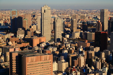 夕日に染まる都心の高層ビル群