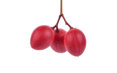 Carissa carandas Linn,Karanda, Carunda isolated on white background