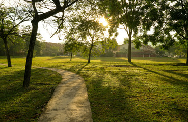 Beautiful green park with jogging track. Sun rays and flares.