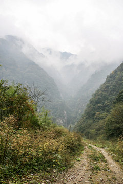 mountain landscape with fog