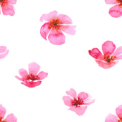 Watercolor cherry blossom flower seamless pattern. Sakura beautiful spring floral template. Colorful illustration isolated on white background
