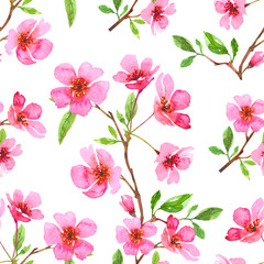 Watercolor cherry blossom flower seamless pattern. Sakura beautiful spring floral template. Colorful illustration isolated on white background