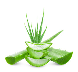 Aloe vera slice on white background.