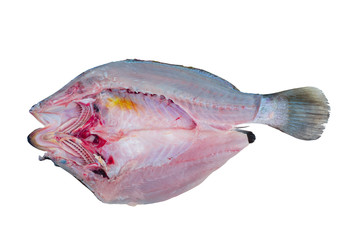 Fresh sea bass fillets and cut on white background. (clipping path)