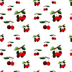 Seamless pattern with cherry Stock illustration, vector, hand drawing, design element  for printing, scrapbooking, postcard