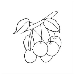 Isolated on white cherry Stock illustration, vector, hand drawing, design element  for printing, scrapbooking, postcard