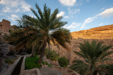 Fototapeta na wymiar Misfat Al Abriyeen is a unique mountainous village located 1,000 m above sea leve