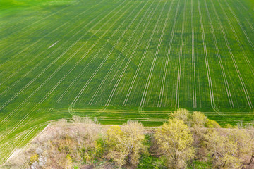 agricultural field on a bright sunny day. aerial view of country field in spring