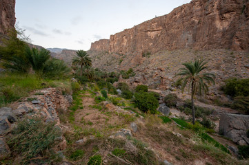  Misfat Al Abriyeen is a unique mountainous village located 1,000 m above sea leve