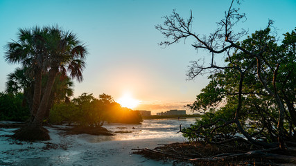 Obraz na płótnie Canvas Sunrise on the Beach in Tampa
