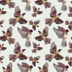 Seamless pattern watercolor flying sparrow hand-drawn bird art creative animal background wrapping textile