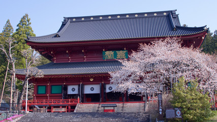 日光山輪王寺　三仏堂と金剛桜（国天然記念物）