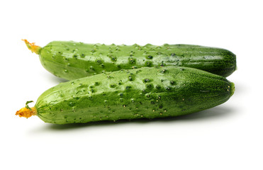 Green cucumber on the white background