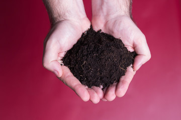 Men's hands hold a handful of earth. Pile of earth in human palms. Earth conservation concept.