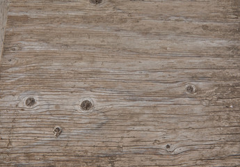 Fototapeta premium old piece of wood with texture