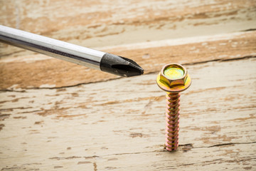 Wrong tool for this job. Screw and screwdriver on old wooden background. Recruitment, HR human resources management in business company, put the right man on the right job concept.