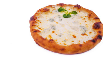 Delicious fresh pizza with cream on white background