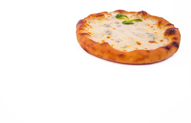 Delicious fresh pizza with cream on white background