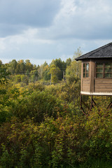 House in the forest
