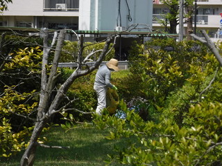 Garden gardening　～庭ガーデニング