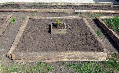 High ridges of old logs for spring planting in the garden, to obtain environmentally friendly products.