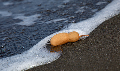 Waves breaking on the beach