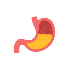 Stomach icon. Human internal organs symbol. Vector stock illustration.