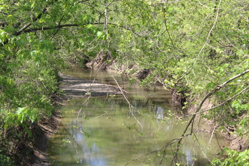 Fototapeta na wymiar country creek