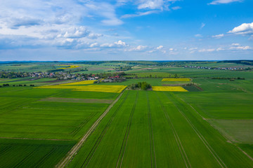 Aerial view of green agriculture field in Jura region, Silesian Voivodeship. Poland.