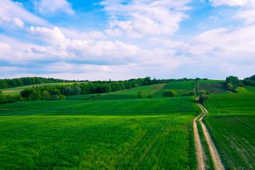 Aerial view of green agriculture field in Jura region, Silesian Voivodeship. Poland.