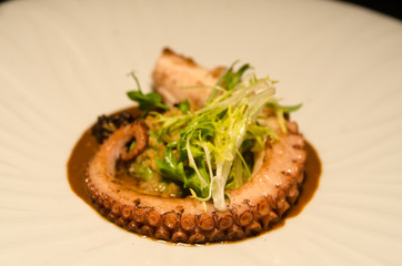 Pulpo