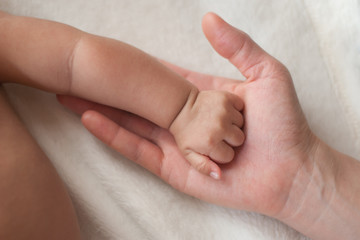 mother and baby hands