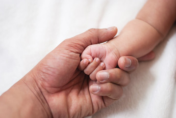 baby feet in hands