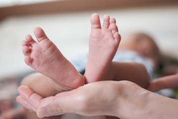 Obraz na płótnie Canvas newborn baby feet