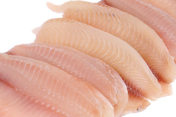 fresh raw tilapia fish fillet isolated on white background