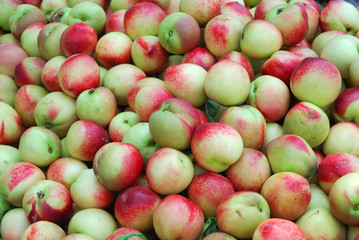 close up on fresh peach as food background