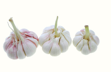 fresh garlic isolated on white background