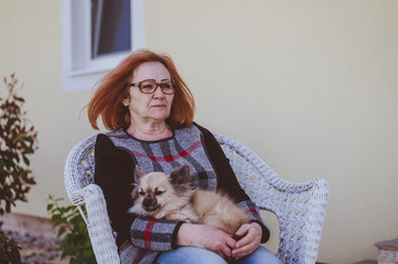 Elderly woman with small dog. Elderly lady is sitting in a chair and playing with a chihuahua.