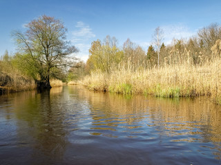 Fototapeta premium landscape with a small wild river bank, the first spring greenery, last year's reeds, tree reflections in the water