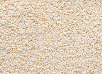 abstract white sesame seeds texture background