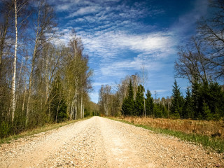 a simple country road, the first bright spring greenery, the first leaves in the trees