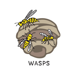 wasp-03