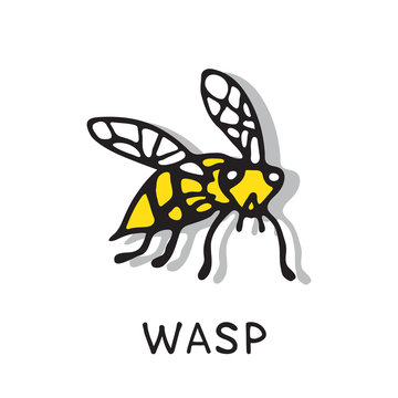 wasp-06